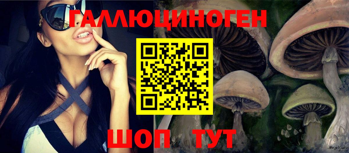 Галлюциногенные грибы прущие грибы  Вход с VPN  Лосино-Петровский  Галлюциногенные грибы мицелий 